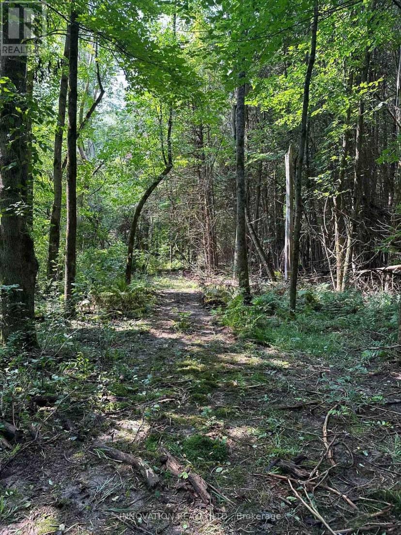 2645 Drummond Concession 7 Road N — photo 14 of 16
