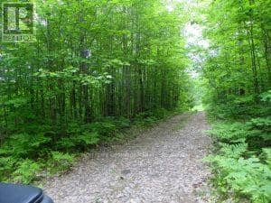 50 Acres In Muskoka North Of Bala - Pcl 31045, Muskoka Lakes