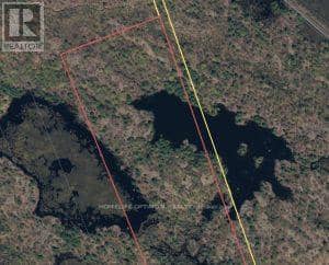 50 Acres In Muskoka North Of Bala - Pcl 31045 — photo 12 of 27