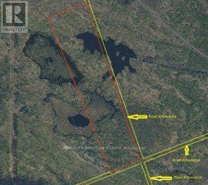 50 Acres In Muskoka North Of Bala - Pcl 31045 — photo 13 of 27