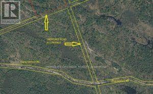 50 Acres In Muskoka North Of Bala - Pcl 31045 — photo 14 of 27