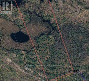 50 Acres In Muskoka North Of Bala - Pcl 31045 — photo 18 of 27