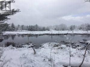 50 Acres In Muskoka North Of Bala - Pcl 31045 — photo 19 of 27