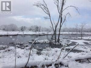50 Acres In Muskoka North Of Bala - Pcl 31045 — photo 20 of 27