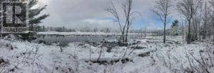 50 Acres In Muskoka North Of Bala - Pcl 31045 — photo 21 of 27