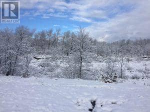 50 Acres In Muskoka North Of Bala - Pcl 31045 — photo 22 of 27