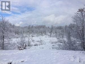 50 Acres In Muskoka North Of Bala - Pcl 31045 — photo 23 of 27