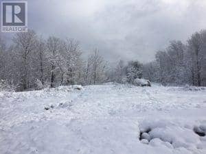 50 Acres In Muskoka North Of Bala - Pcl 31045 — photo 24 of 27