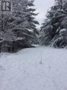50 Acres In Muskoka North Of Bala - Pcl 31045 — photo 25 of 27