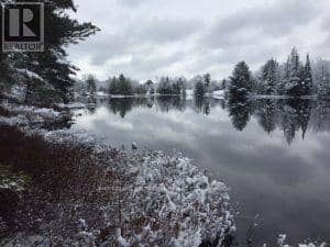 50 Acres In Muskoka North Of Bala - Pcl 31045 — photo 26 of 27