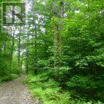 50 Acres In Muskoka North Of Bala - Pcl 31045, Muskoka Lakes, photo 3