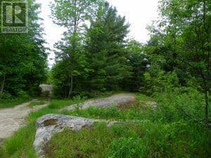 50 Acres In Muskoka North Of Bala - Pcl 31045, Muskoka Lakes, photo 7