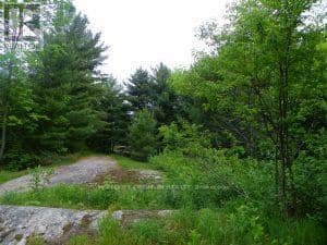 50 Acres In Muskoka North Of Bala - Pcl 31045, Muskoka Lakes, photo 8