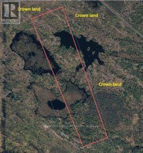 50 Acres In Muskoka North Of Bala - Pcl 31045 — photo 9 of 27