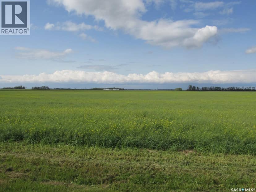 Land East of Nipawin, Nipawin Rm No. 487, photo 3