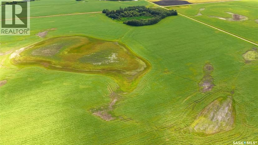 Land East of Nipawin — photo 11 of 40