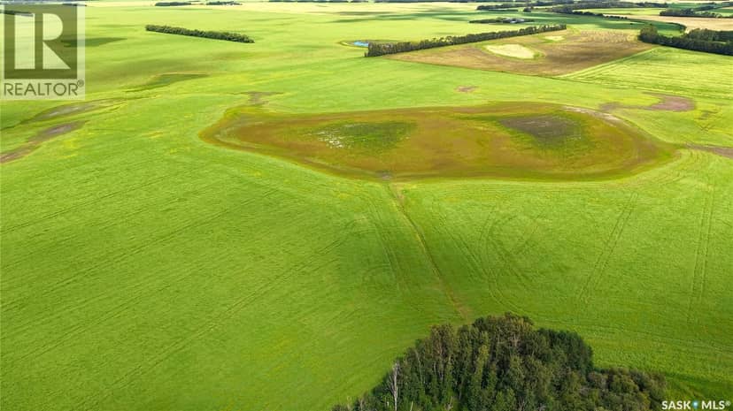 Land East of Nipawin — photo 14 of 40