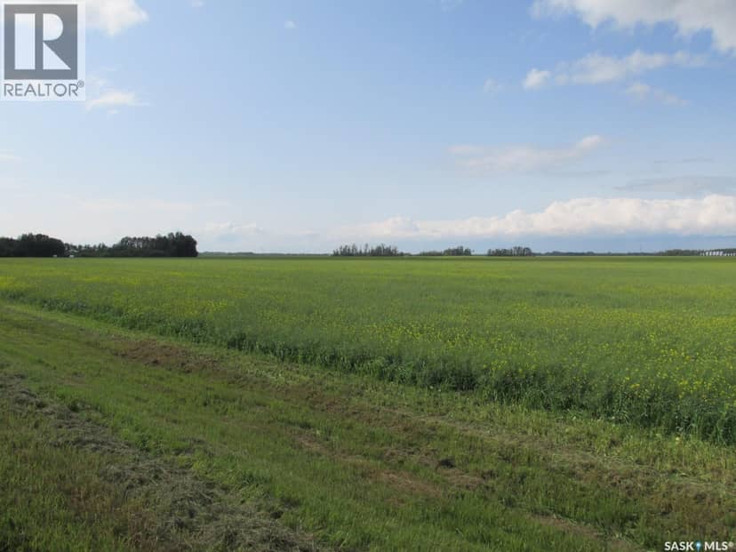 Land East of Nipawin, Nipawin Rm No. 487, photo 4