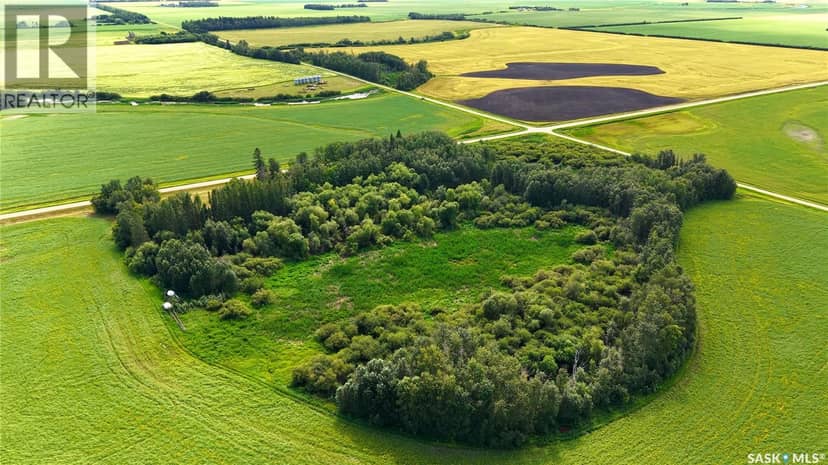 Land East of Nipawin — photo 16 of 40