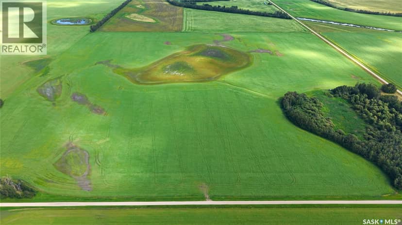 Land East of Nipawin — photo 17 of 40