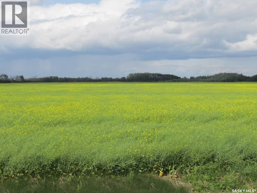 Land East of Nipawin — photo 21 of 40