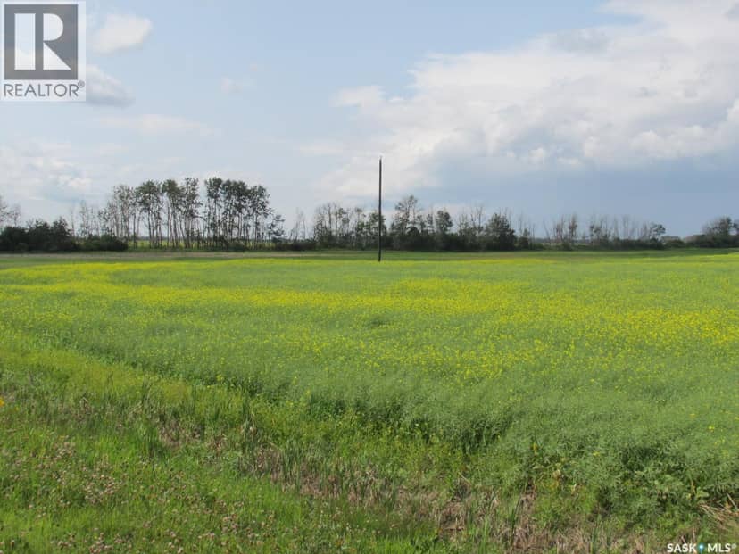 Land East of Nipawin — photo 22 of 40