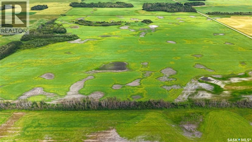 Land East of Nipawin — photo 32 of 40