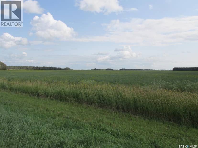 Land East of Nipawin — photo 38 of 40