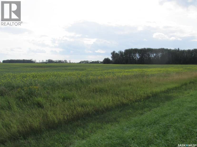 Land East of Nipawin — photo 39 of 40
