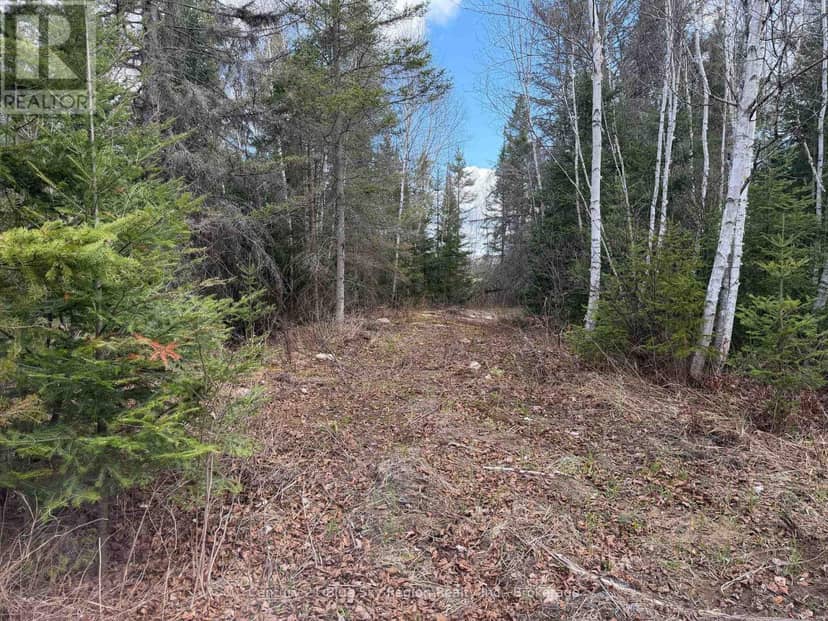 Lot 9 Part 1 Johnson Road, East Ferris, photo 2