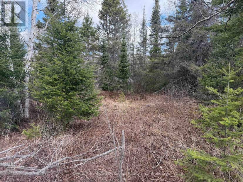 Lot 9 Part 1 Johnson Road, East Ferris, photo 3