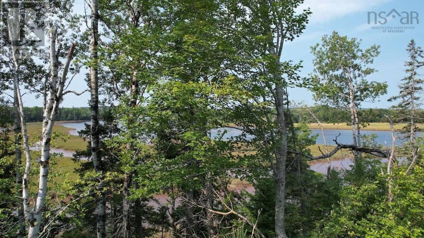 24-5 Highway 321 Highway — photo 16 of 18