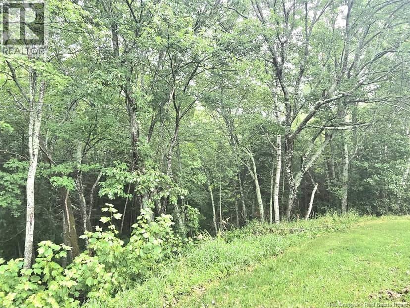 11 Robertson Brook Road — photo 39 of 40