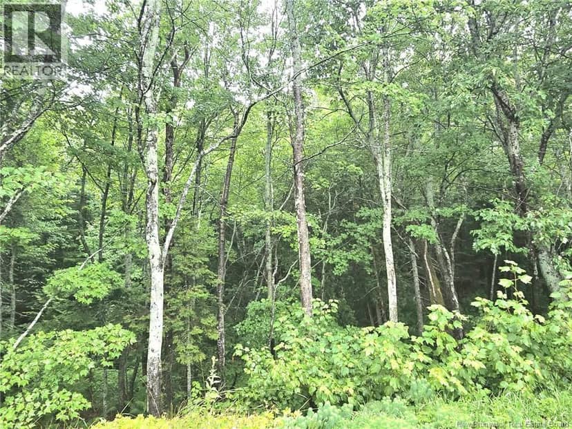 11 Robertson Brook Road — photo 38 of 40