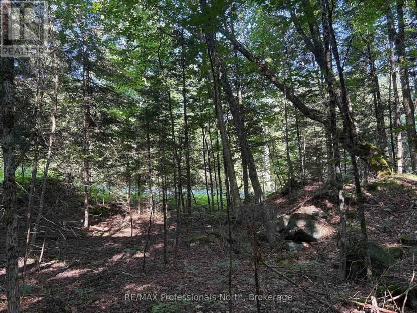 0 Parish Line Road — photo 23 of 24