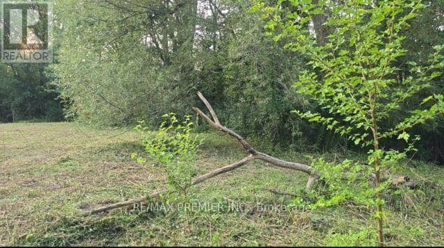 0 Fergus Avenue — photo 11 of 33