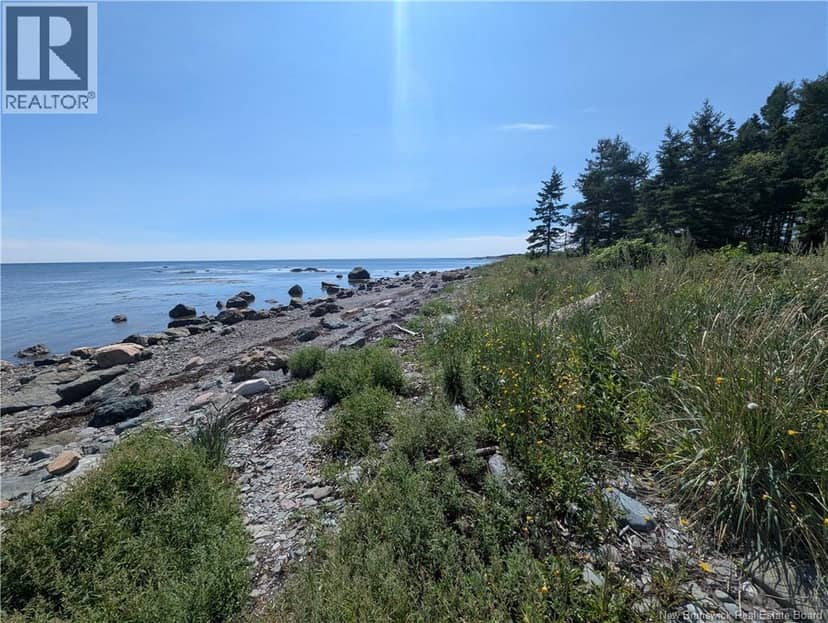 2.3 Acres Route 134, Petit-Rocher-Nord, photo 4