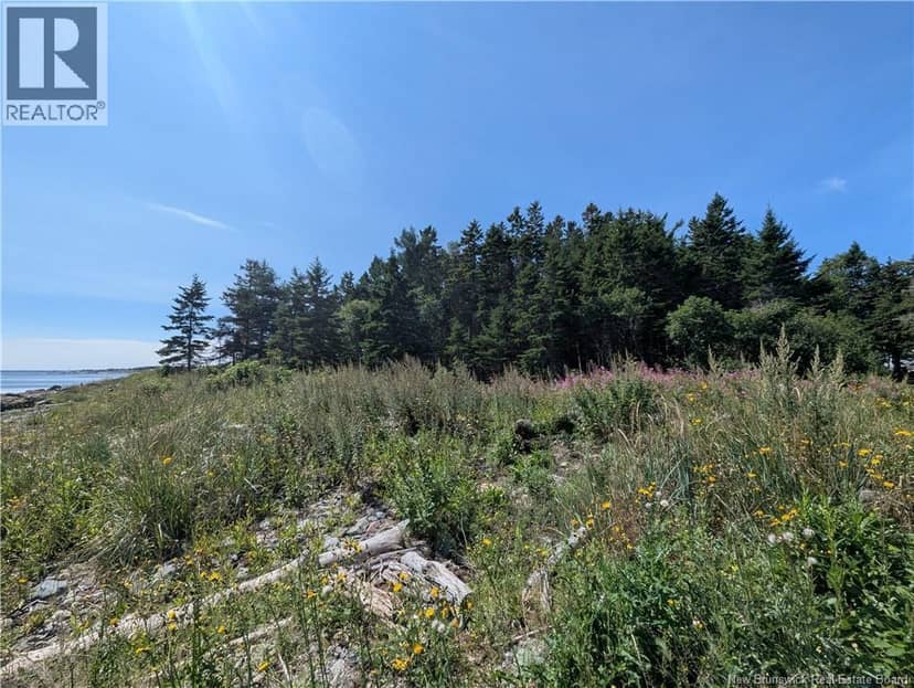 2.3 Acres Route 134, Petit-Rocher-Nord, photo 2