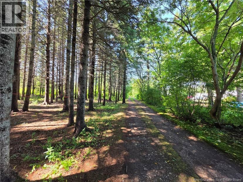 2.3 Acres Route 134, Petit-Rocher-Nord, photo 8
