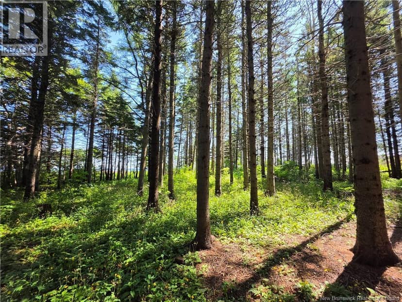 2.3 Acres Route 134, Petit-Rocher-Nord, photo 7