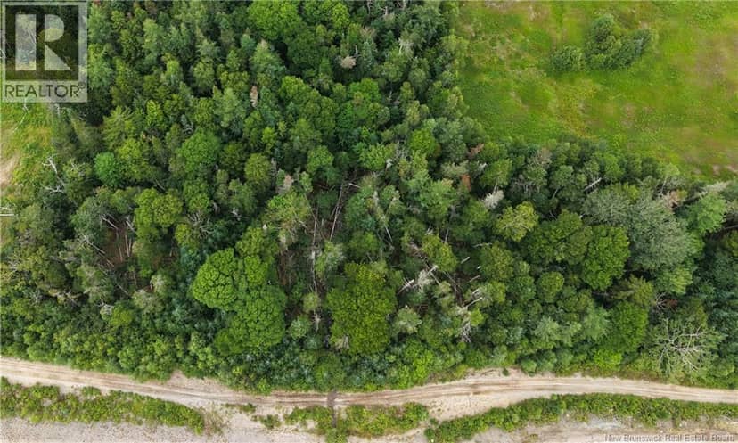 Vacant lot 16-2 175 Route, Pennfield, photo 2