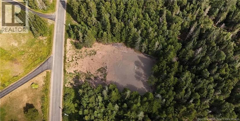 Lot 0 Shore Road — photo 4 of 9