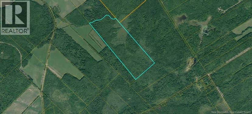 Lot Douglas Road — photo 1 of 2