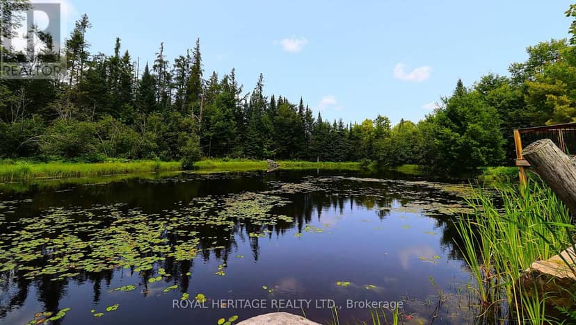 1118 Dutch Line Road E, Trent Lakes, photo 4