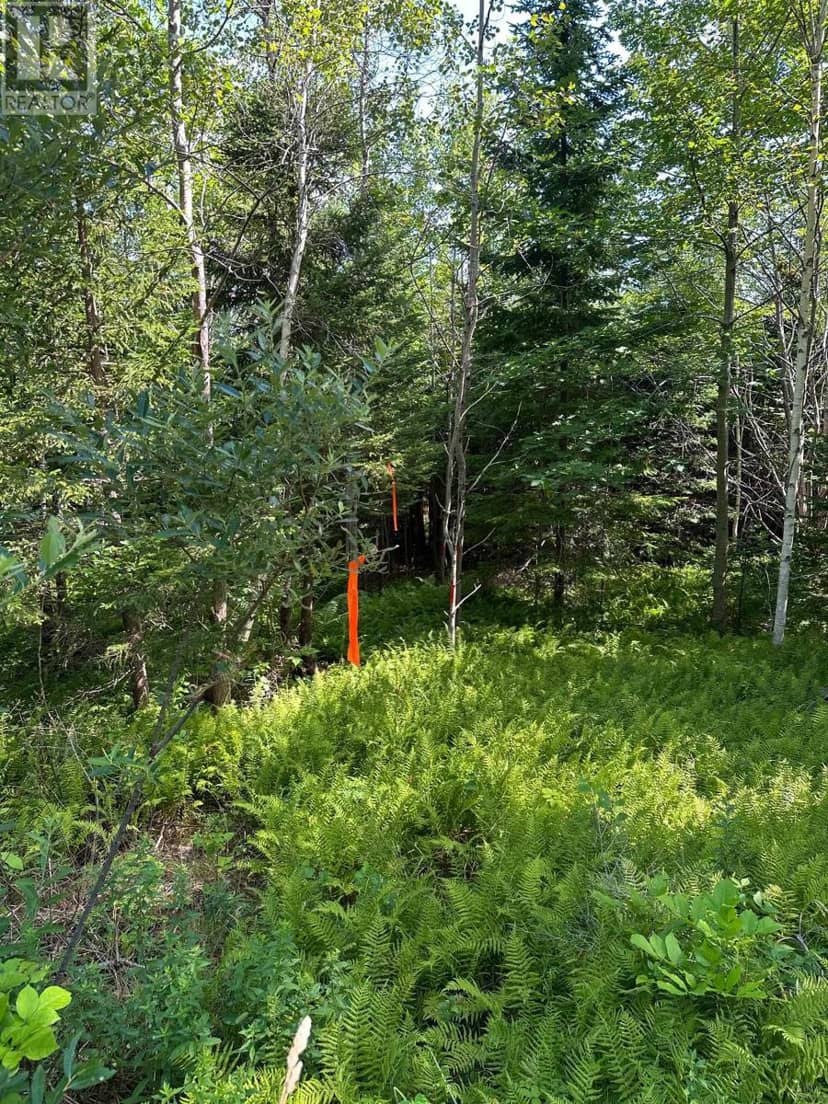 LOT 101 CROUSES SETTLEMENT Road, Crouses Settlement, photo 7