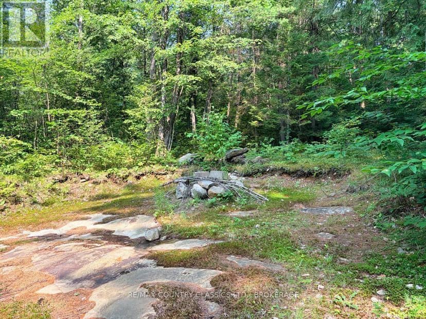 663 Skootamatta Lake Road, Frontenac, photo 6