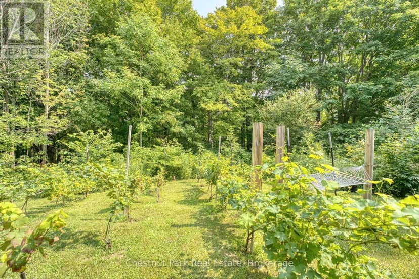 76 Everett Road — photo 34 of 39