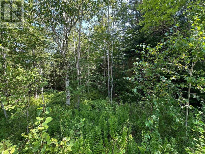LOT 103 CROUSES SETTLEMENT Road, Crouses Settlement, photo 6