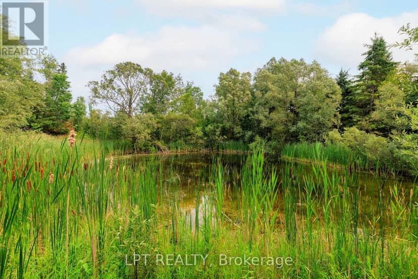 23983 Weirs Side Road — photo 9 of 24