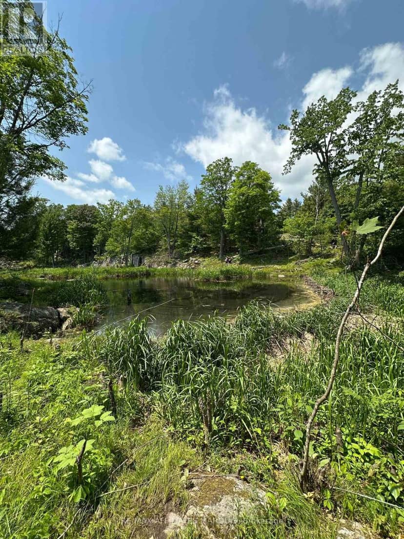 938 Crow Lake Road, Frontenac, photo 2